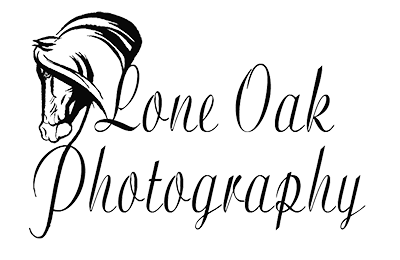 Lone Oak Equine Photography