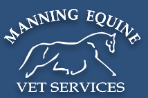 Manning Equine 