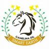 Smart Earth Camelina