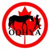 OQHA Youth
